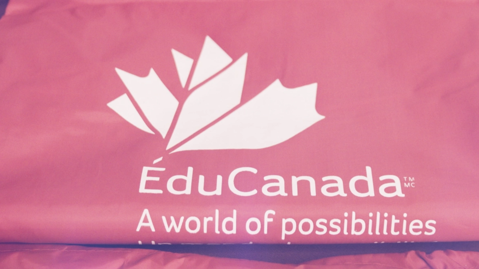 Proyecto de redes Educanada
